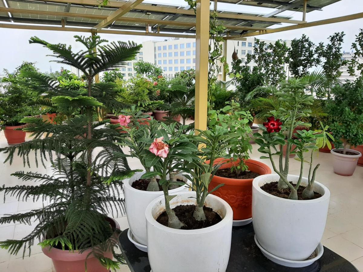 ชินเมาน์ เฮอริเทจ บูทิก โฮเทล Hotel ชัยปุระ ภายนอก รูปภาพ